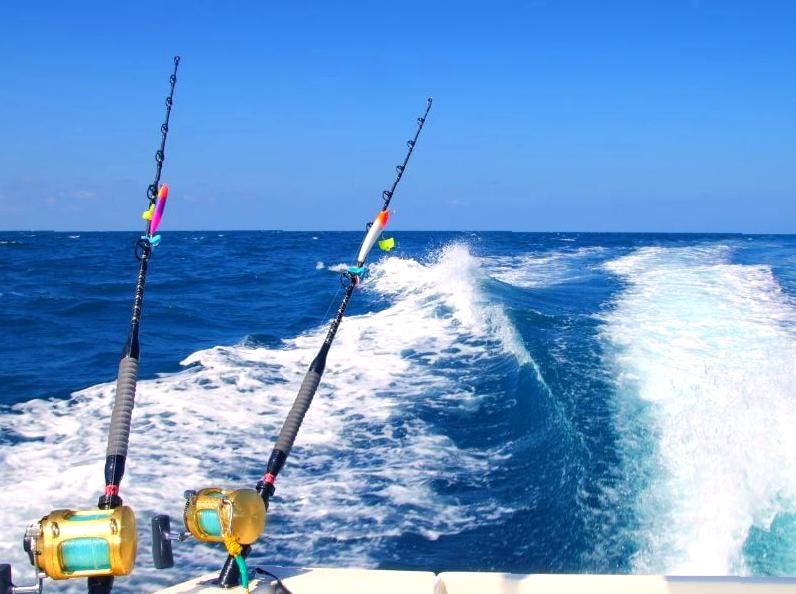 Join a Charter for Exciting Deep Sea Fishing